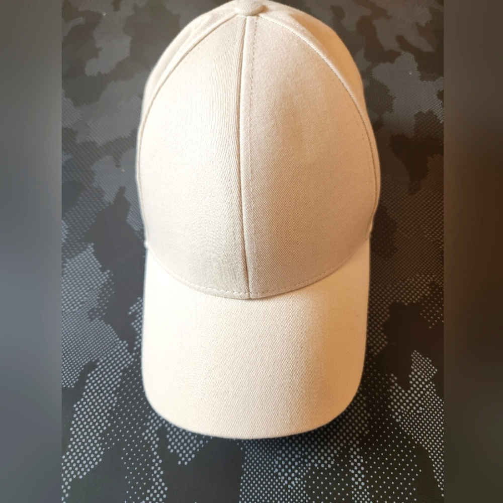 Aritzia Babaton Baseball Cap
